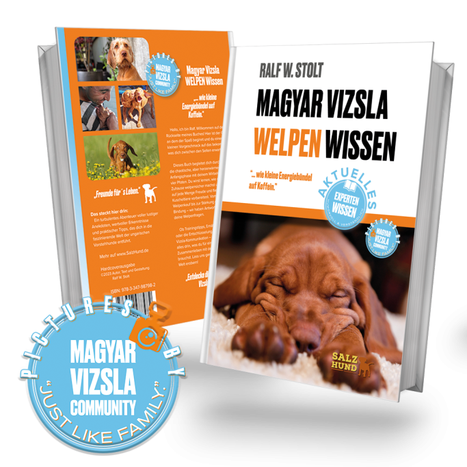 Magyar Vizsla Welpen Wissen Magyar Vizsla Welpen Wissen